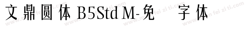 文鼎圓體 B5Std M字体转换